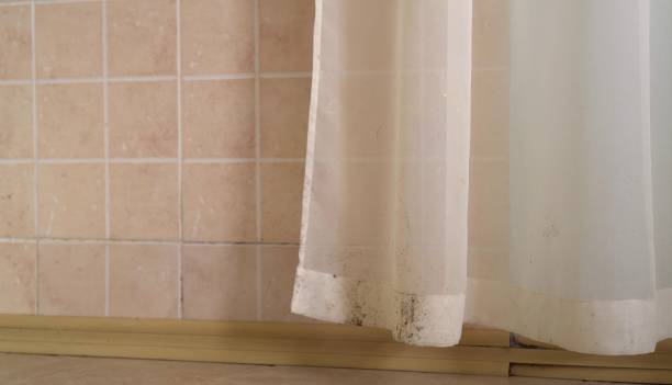 Best Mold Prevention Services  in Winter Park, FL
