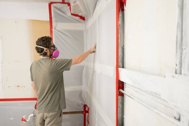 Best Basement Mold Removal  in Winter Park, FL